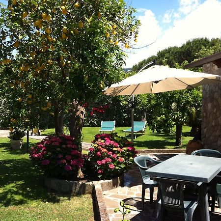 Chalet Claudia Sant'Agnello Dış mekan fotoğraf