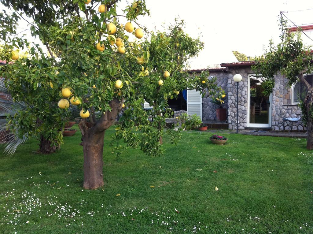 Chalet Claudia Sant'Agnello Dış mekan fotoğraf